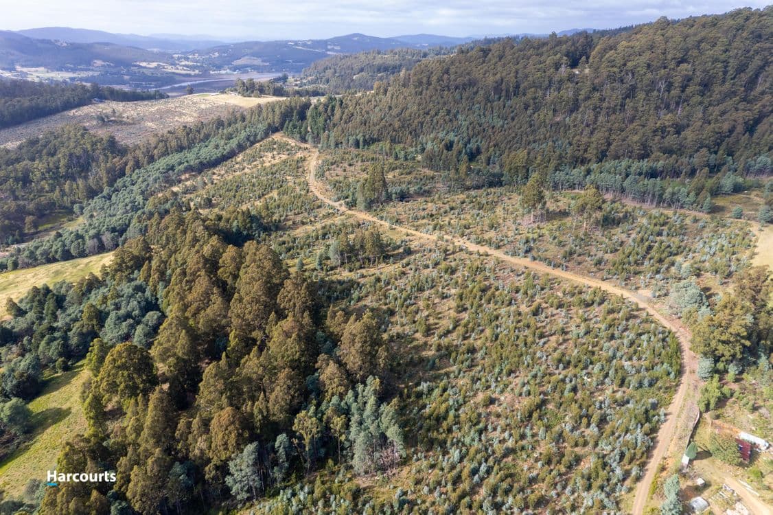 Lot 3 Paddys Lane, FRANKLIN, TAS 7113, Franklin - Thumbnail 6