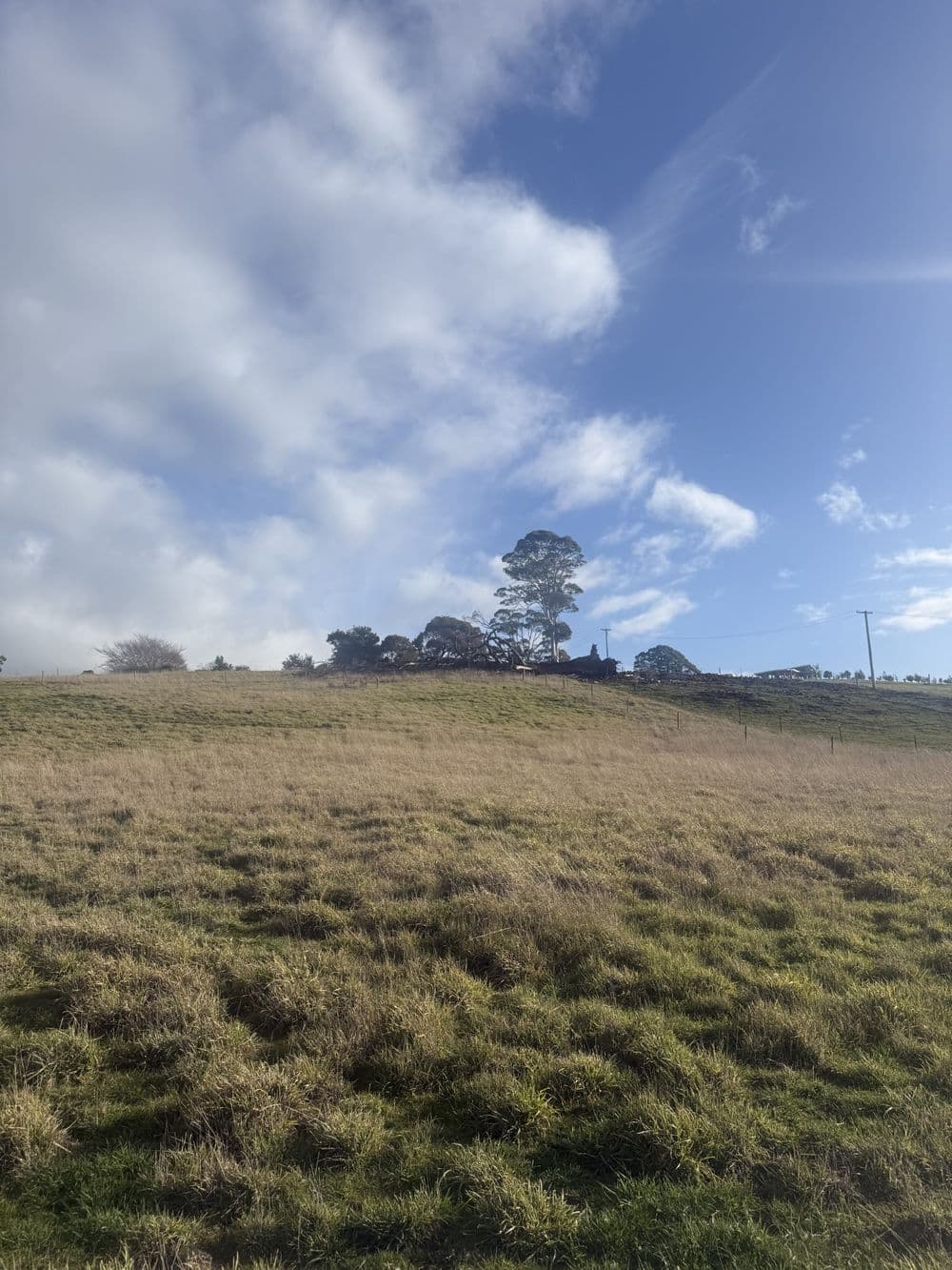 12 Quamby Brook Road, DELORAINE, TAS 7304, Deloraine - Thumbnail 4
