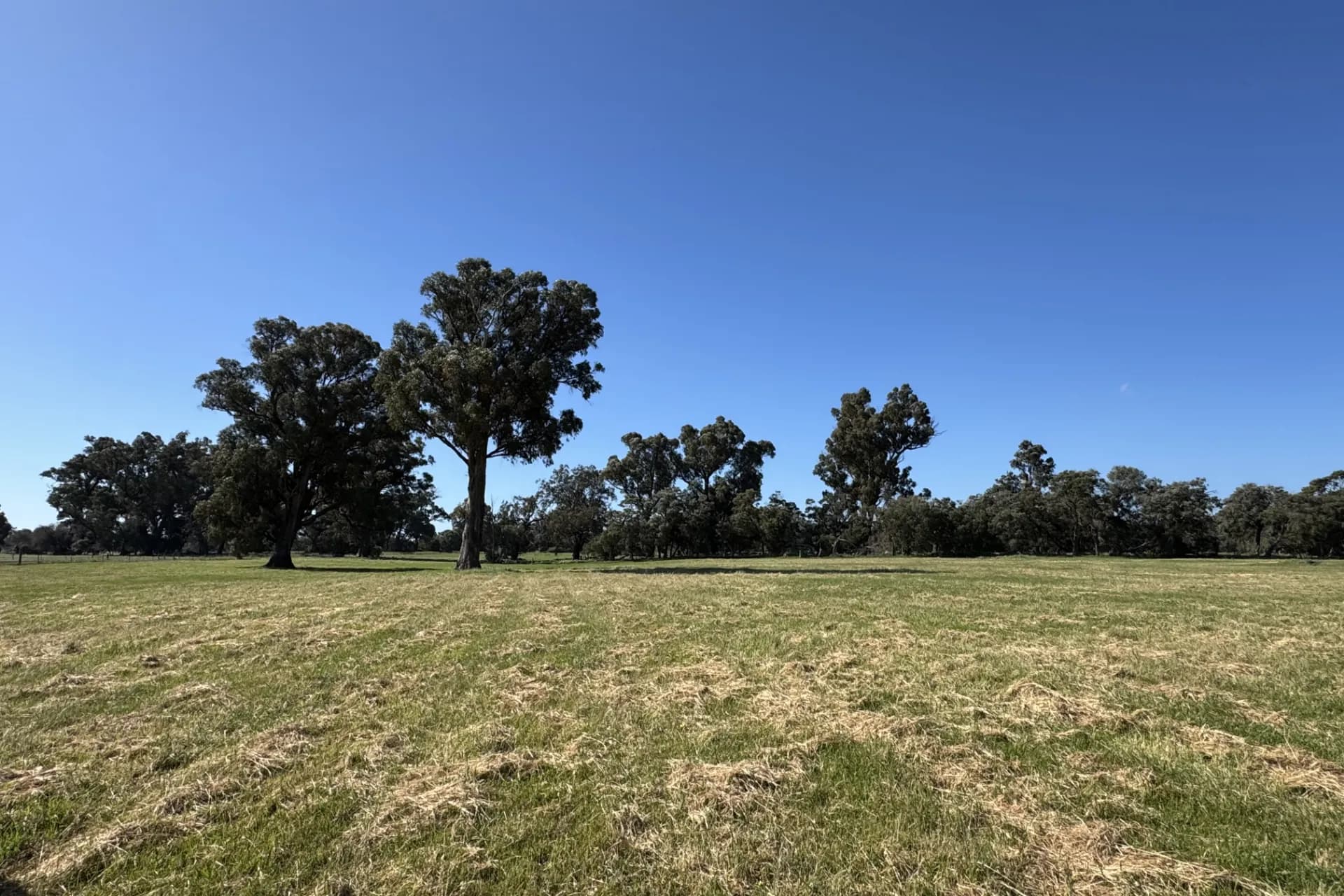 Lot 1 Ludlow Road North, Forrest Beach, WA, Forrest Beach - Thumbnail 4