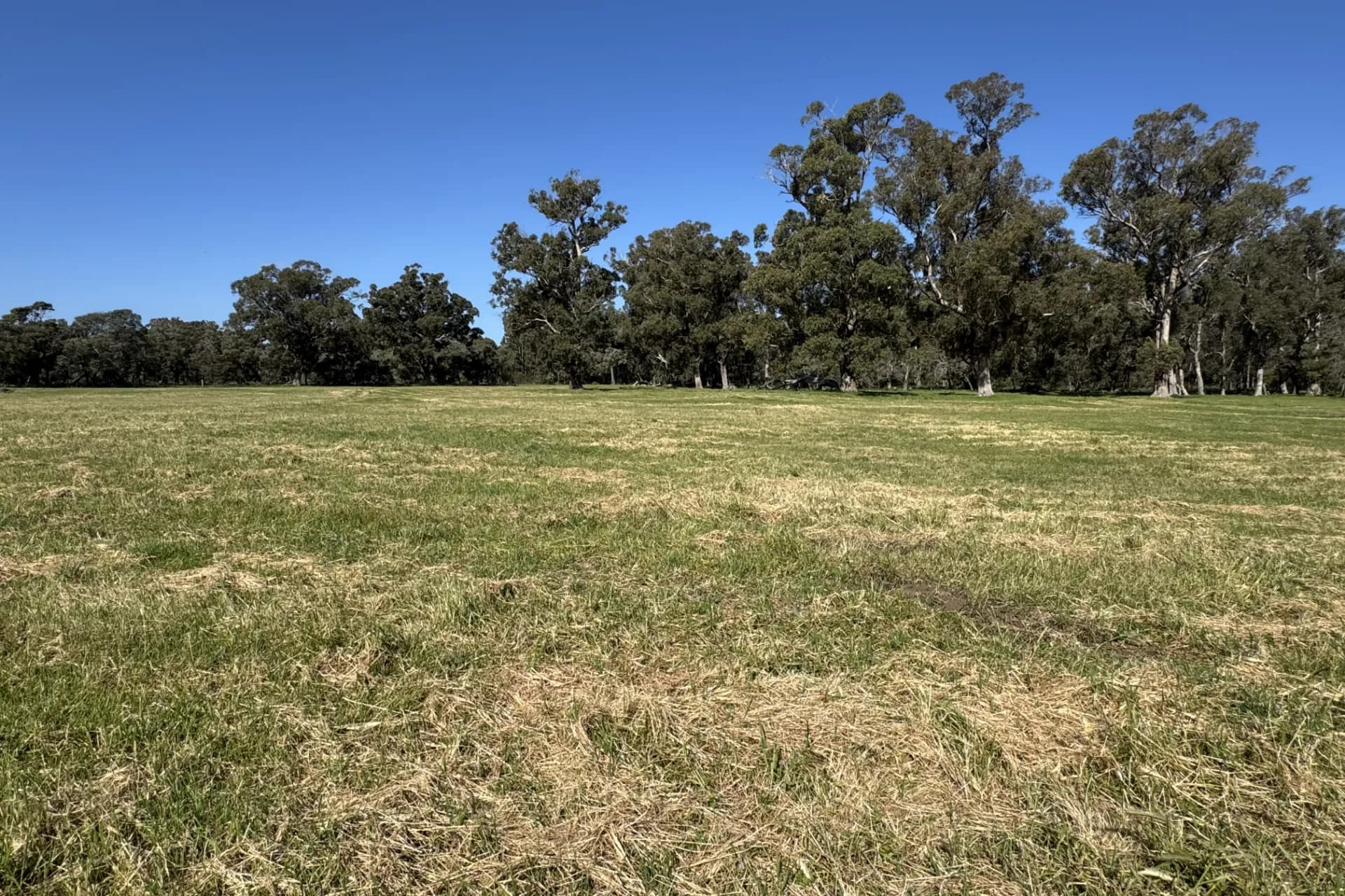 Lot 1 Ludlow Road North, Forrest Beach, WA, Forrest Beach - Thumbnail 5