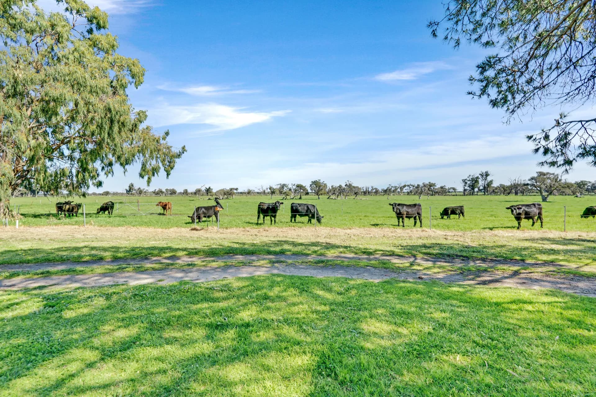 313 Ludlow Road North, Forrest Beach, WA, Forrest Beach - Thumbnail 5