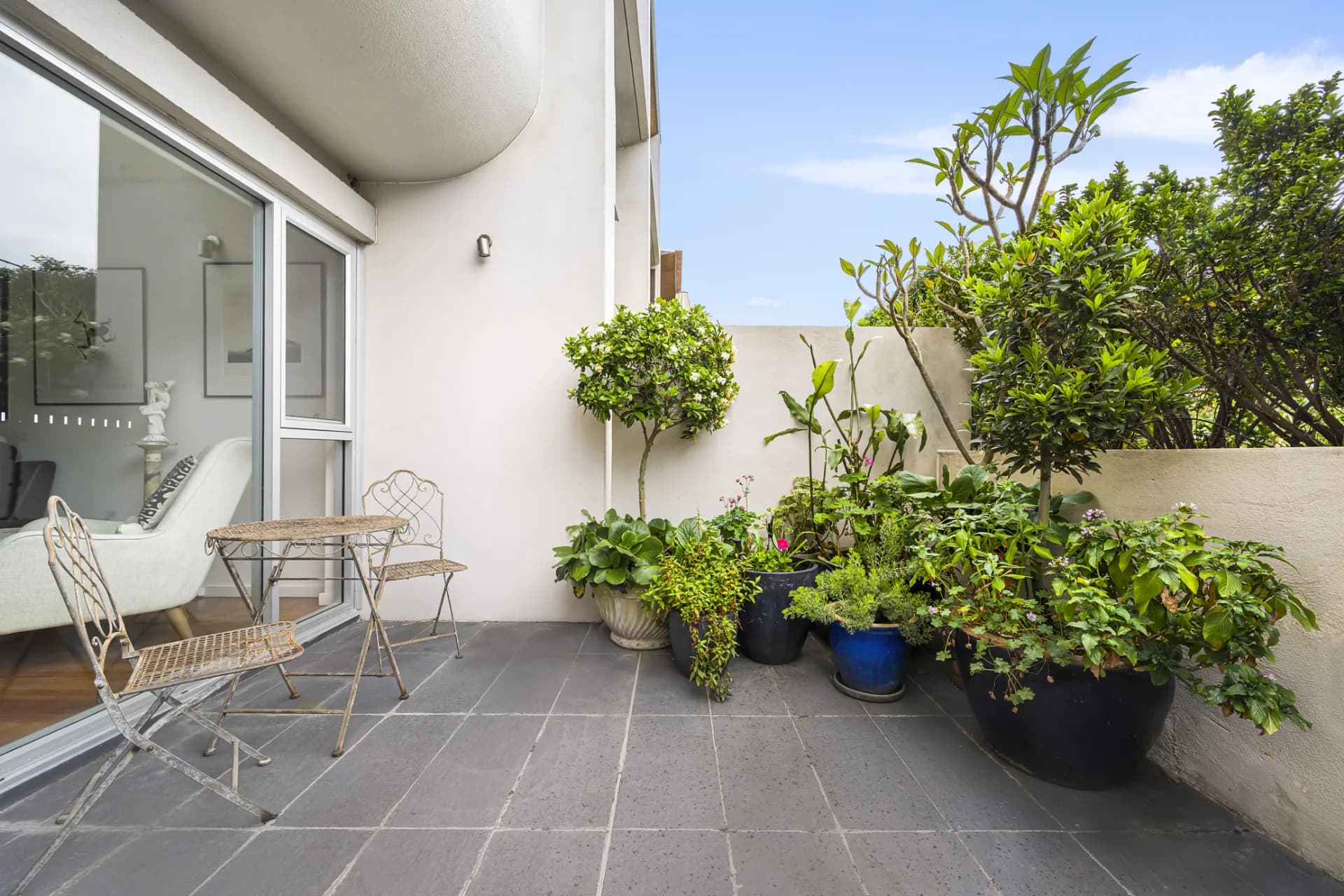 Terrace 10/69-87 Dangar Street, Randwick, NSW, Randwick - Thumbnail 3