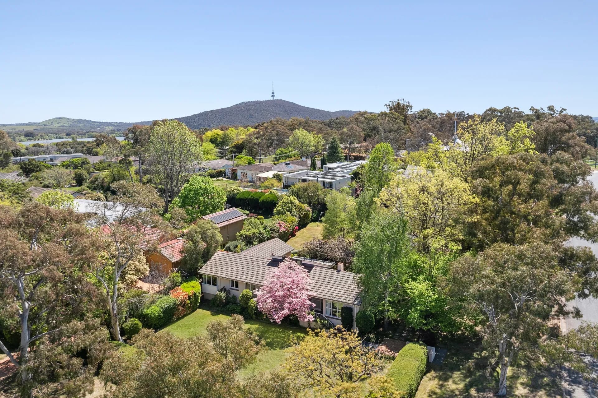 126 Empire Circuit, Yarralumla., Yarralumla - Thumbnail 5