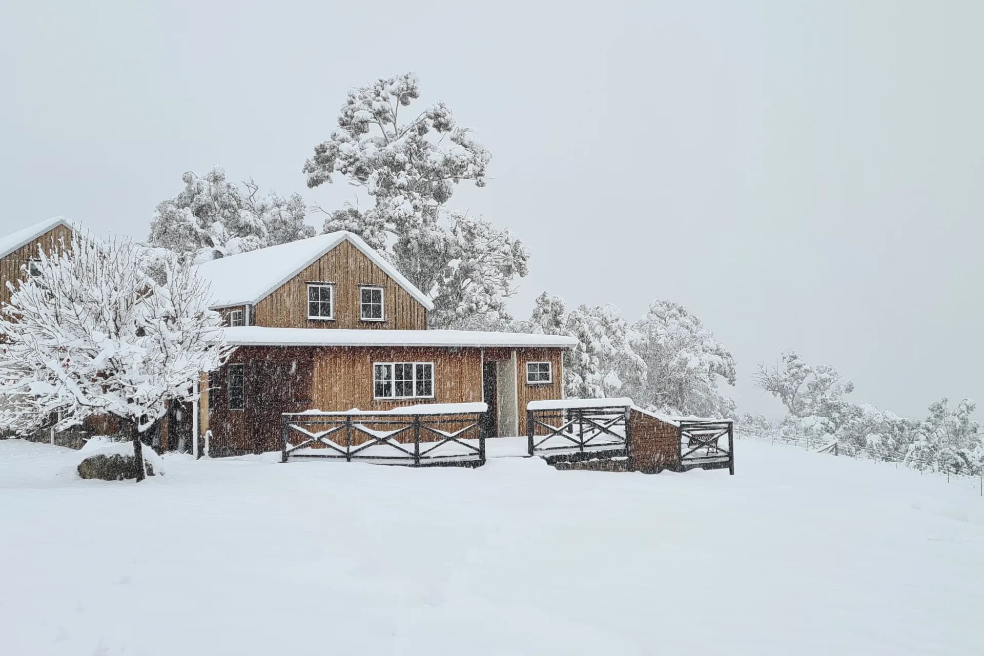 80 Castle Lane, Avonside, NSW, Avonside - Thumbnail 2