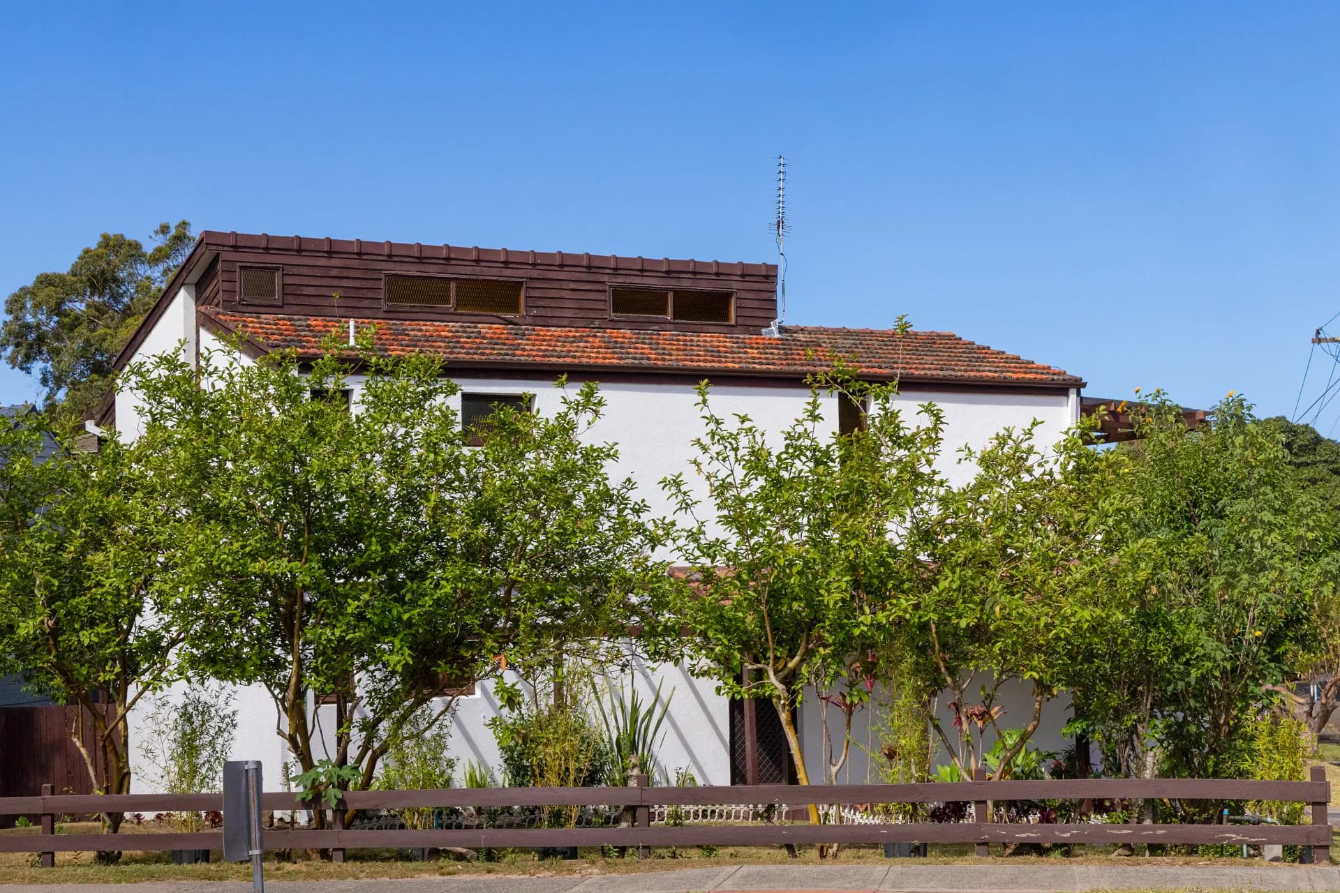 63 Oliver Street, Freshwater, NSW, Freshwater - Thumbnail 8