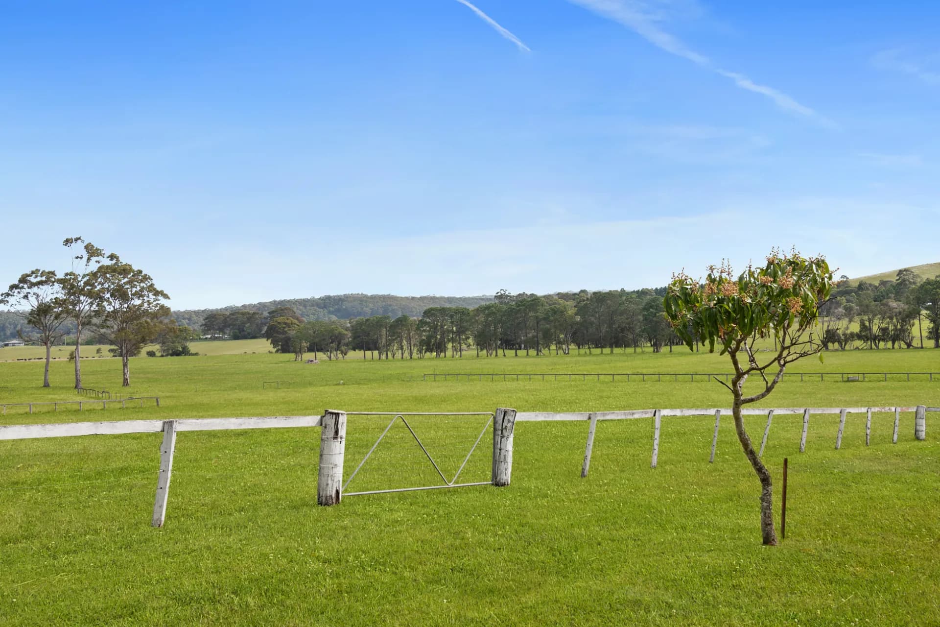 140B Bryces Road, Far Meadow, NSW, Far Meadow - Thumbnail 5