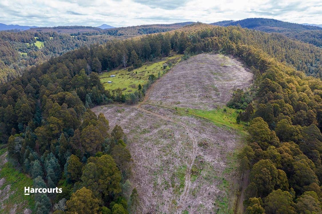 Lot 10 Paddys Lane, FRANKLIN, TAS 7113, Franklin - Thumbnail 5