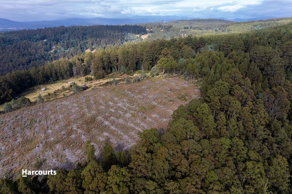 Lot 10 Paddys Lane, FRANKLIN, TAS 7113, Franklin - Thumbnail 6