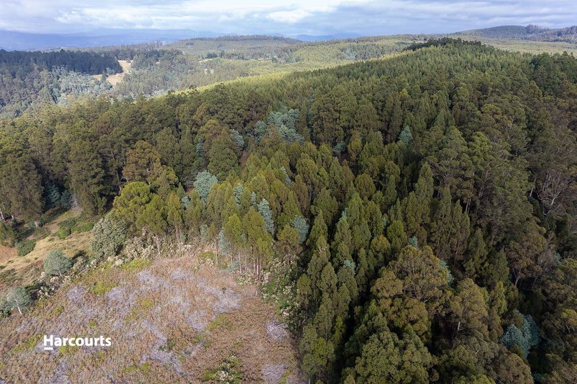 Lot 10 Paddys Lane, FRANKLIN, TAS 7113, Franklin - Thumbnail 7