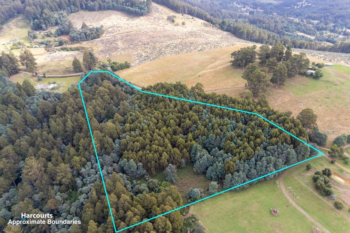 Lot 5 Rankins Road, FRANKLIN, TAS 7113, Franklin - Thumbnail 3