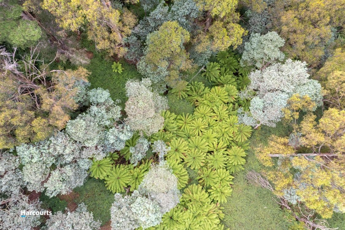 Lot 5 Rankins Road, FRANKLIN, TAS 7113, Franklin - Thumbnail 6
