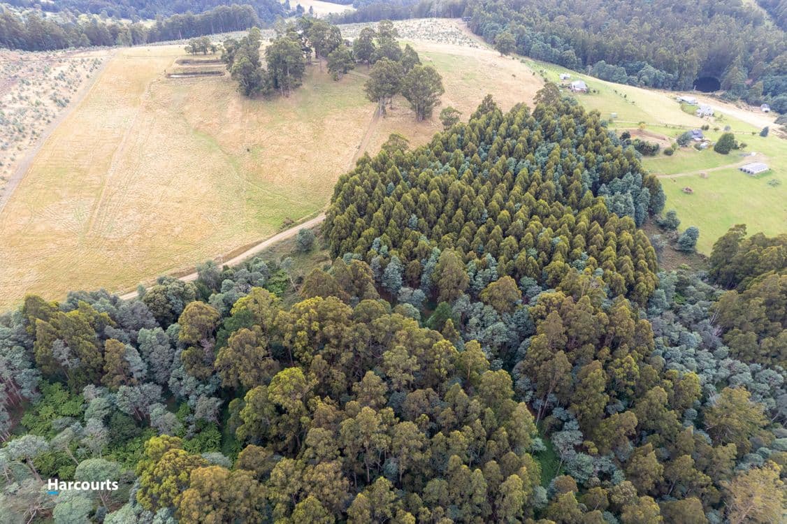 Lot 5 Rankins Road, FRANKLIN, TAS 7113, Franklin - Thumbnail 8