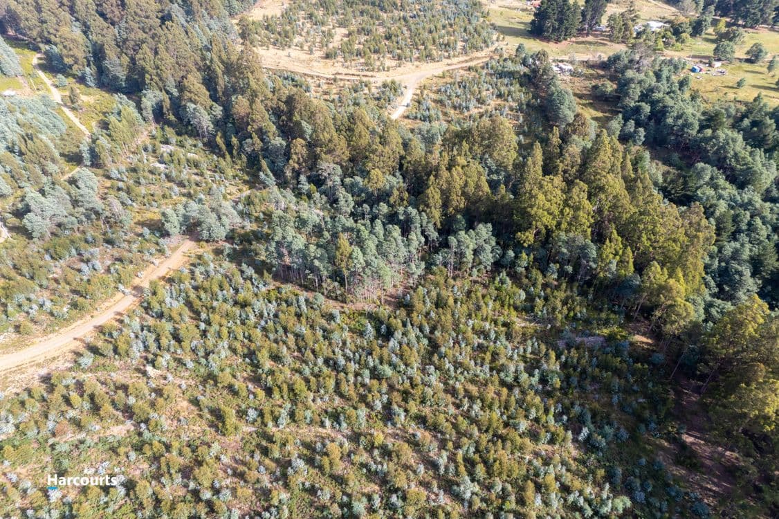 Lot 2 Chambers Road, FRANKLIN, TAS 7113, Franklin - Thumbnail 6