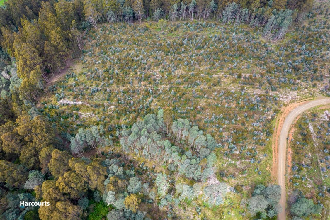 Lot 2 Chambers Road, FRANKLIN, TAS 7113, Franklin - Thumbnail 7