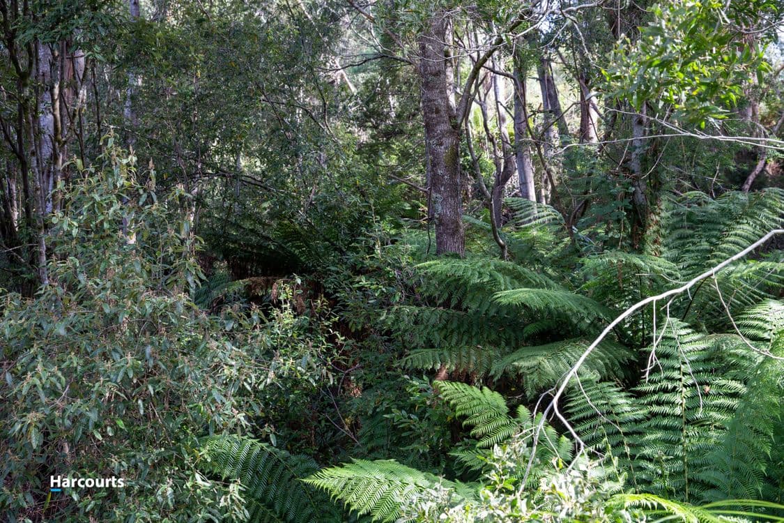 Lot 2 Chambers Road, FRANKLIN, TAS 7113, Franklin - Thumbnail 8