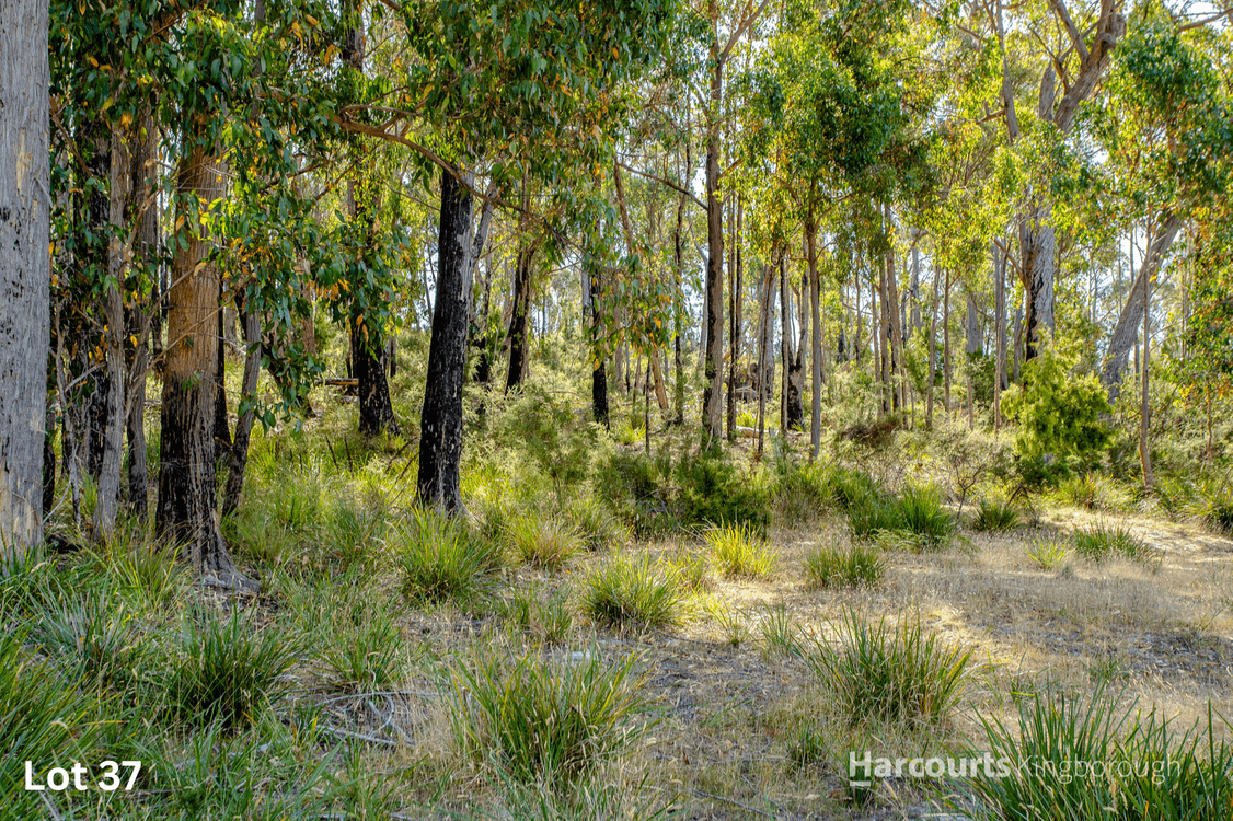 28-37 Cathedral Road, MARGATE, TAS 7054, Margate - Thumbnail 4