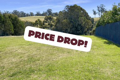 16 Douglas Court, ST HELENS, TAS 7216, St Helens - Image 1