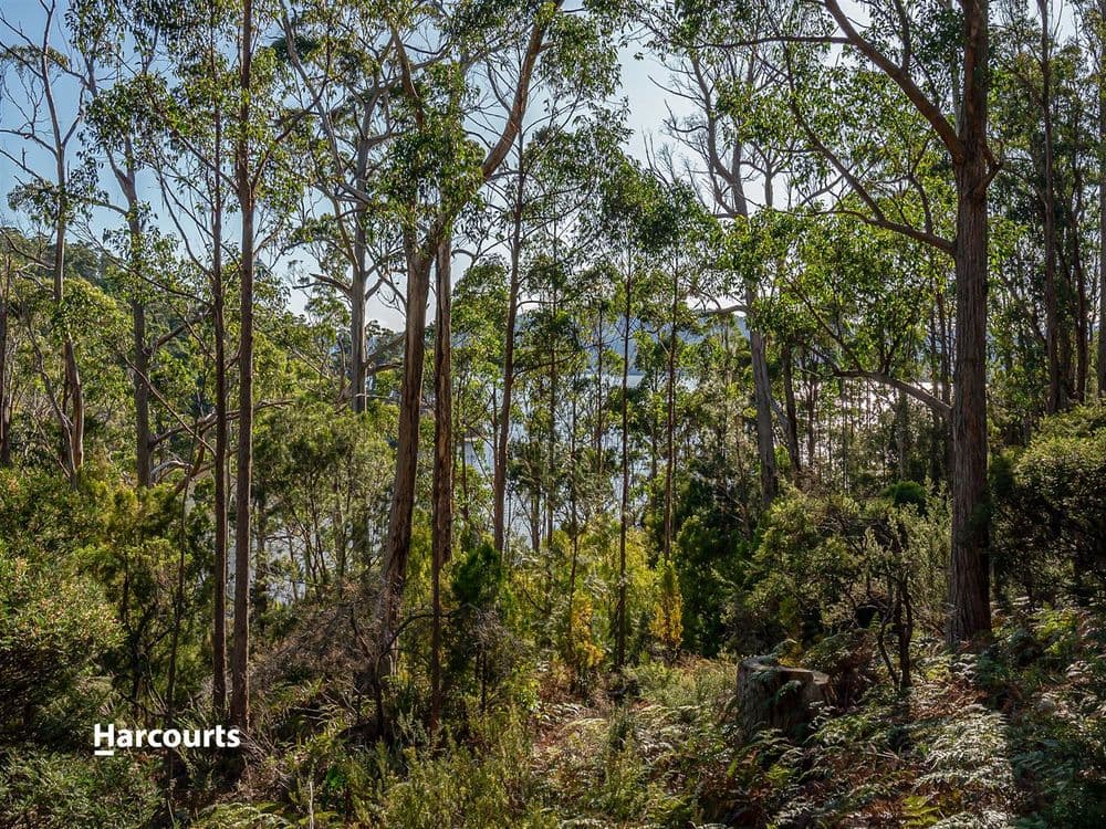 46 Klasen Road, POLICE POINT, TAS 7116, Police Point - Thumbnail 5