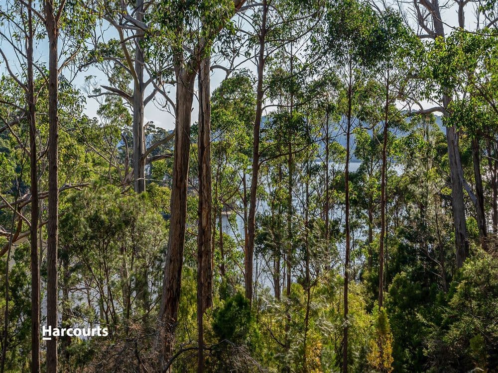 46 Klasen Road, POLICE POINT, TAS 7116, Police Point - Thumbnail 6
