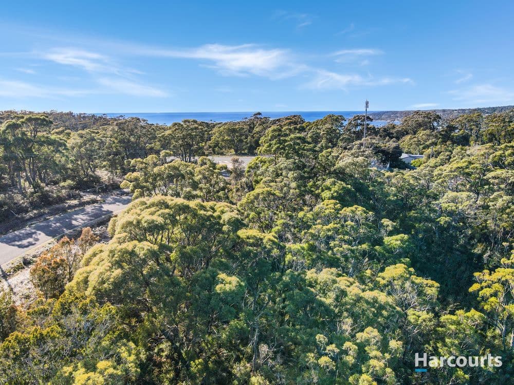 17 Jeanneret Crescent, BINALONG BAY, TAS 7216, Binalong Bay - Thumbnail 5