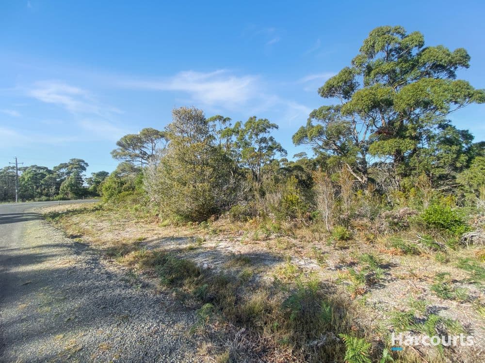 17 Jeanneret Crescent, BINALONG BAY, TAS 7216, Binalong Bay - Thumbnail 7