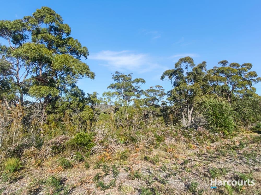 17 Jeanneret Crescent, BINALONG BAY, TAS 7216, Binalong Bay - Thumbnail 8