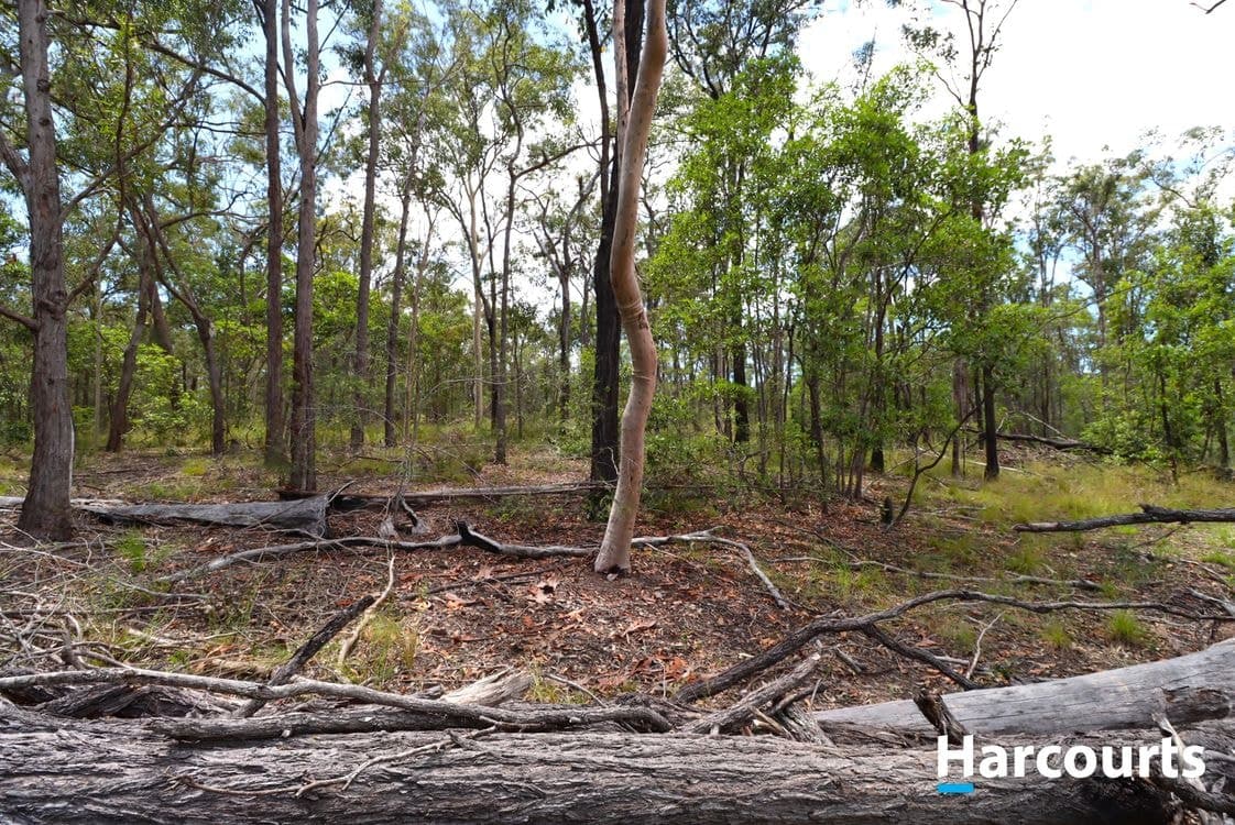 29790 Bruce Highway, APPLE TREE CREEK, QLD 4660, Apple Tree Creek - Thumbnail 6