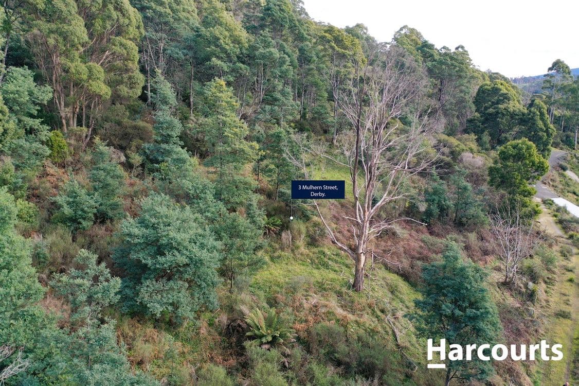 3 Mulhern Street, DERBY, TAS 7264, Derby - Thumbnail 5