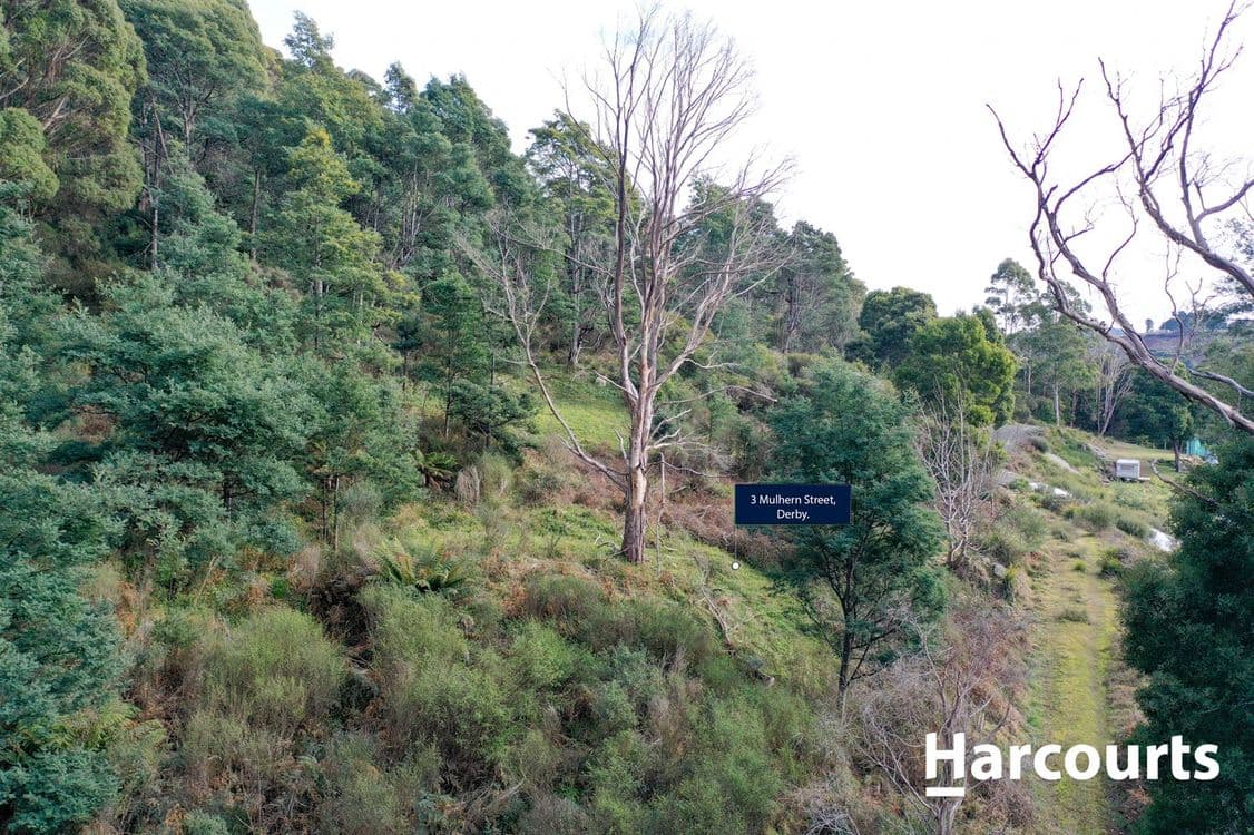 3 Mulhern Street, DERBY, TAS 7264, Derby - Thumbnail 6