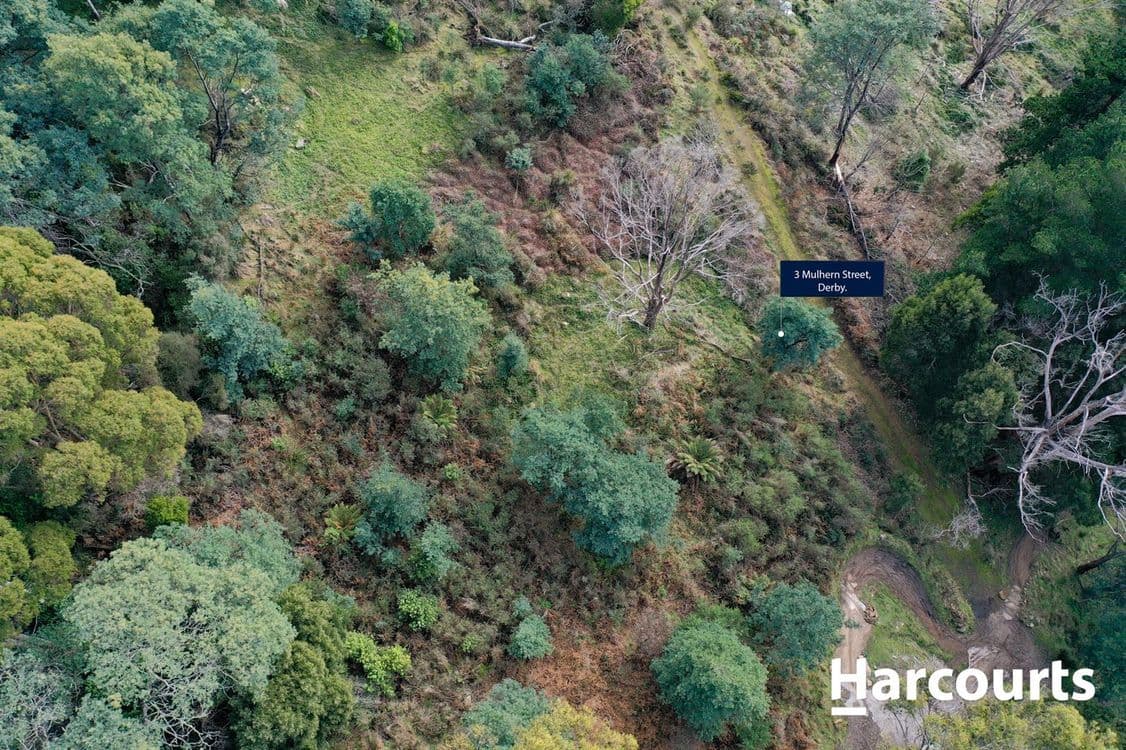 3 Mulhern Street, DERBY, TAS 7264, Derby - Thumbnail 8