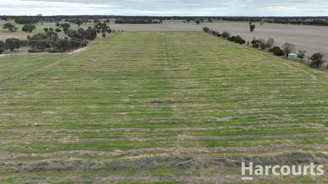 . Worthys Road, TOOAN, VIC 3409, Tooan - Thumbnail 5