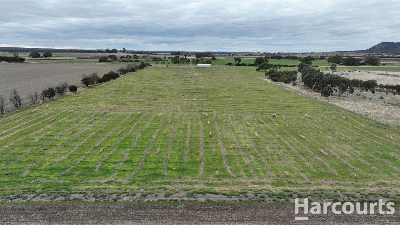 . Worthys Road, TOOAN, VIC 3409, Tooan - Thumbnail 6