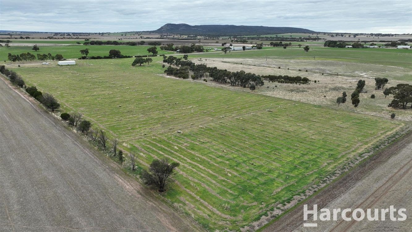 . Worthys Road, TOOAN, VIC 3409, Tooan - Thumbnail 7