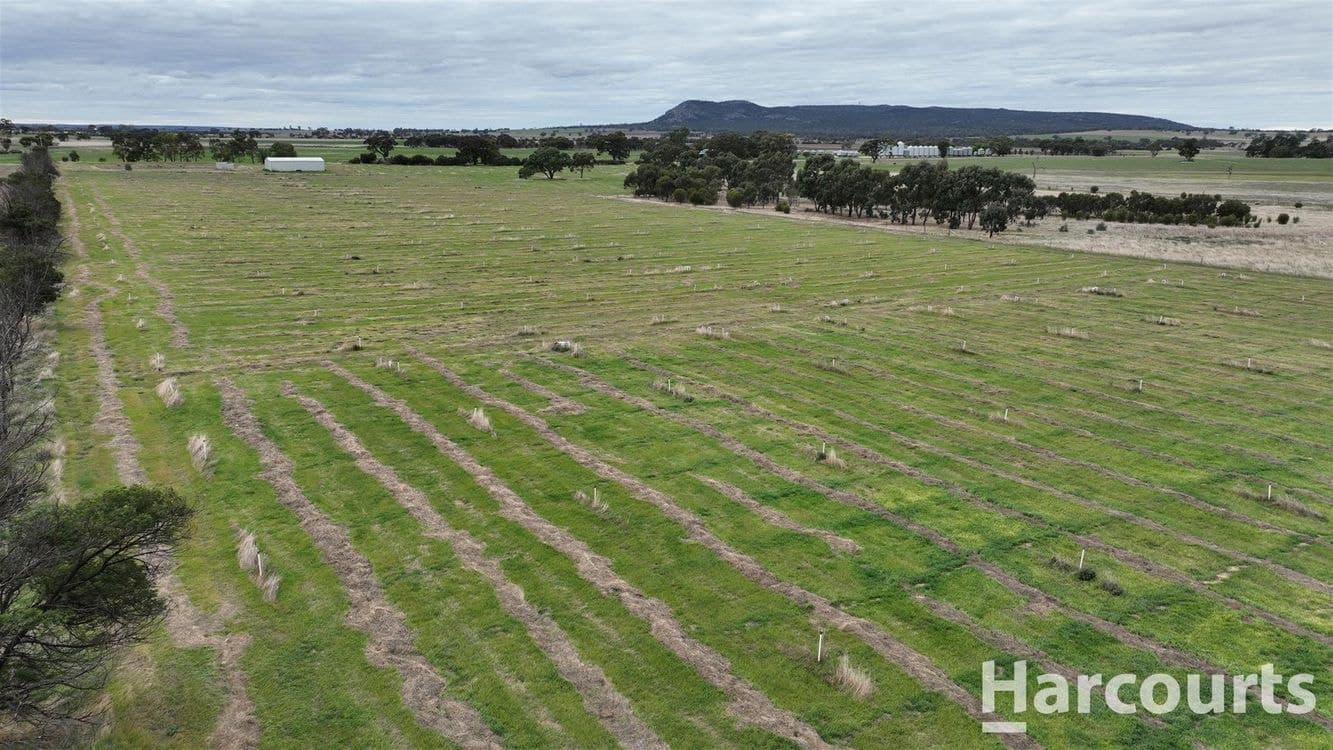 . Worthys Road, TOOAN, VIC 3409, Tooan - Thumbnail 8