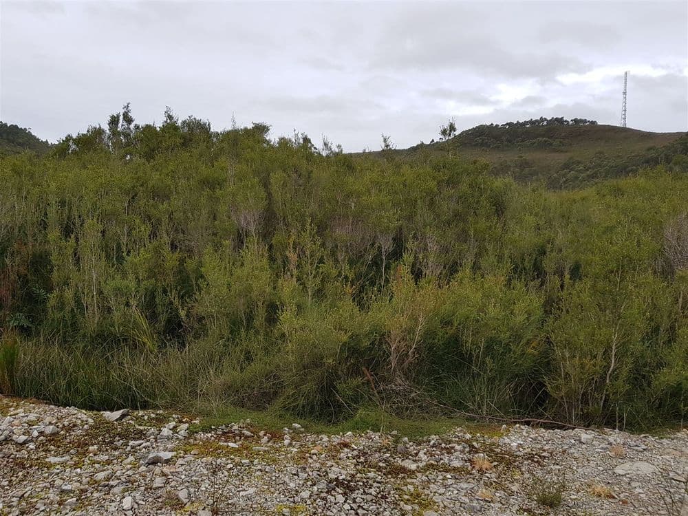 Lot 4 Andrew Street, STRAHAN, TAS 7468, Strahan - Thumbnail 5