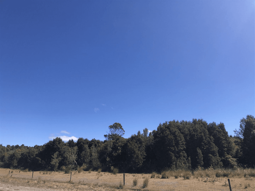 Dickers Road, REEKARA, TAS 7256, Reekara - Thumbnail 3