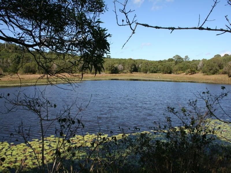 L14 Harney Street, CHILDERS, QLD 4660, Childers - Thumbnail 3