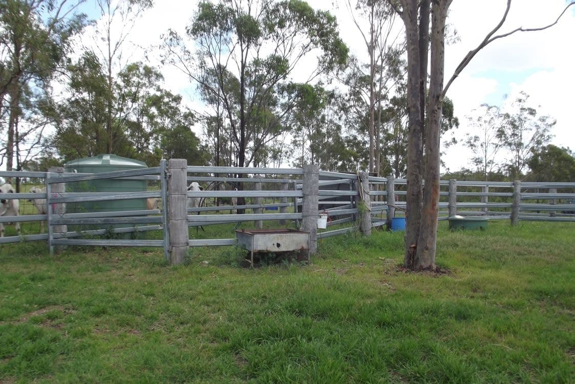 Lot 58/ Isis Highway, DALLARNIL, QLD 4621, Dallarnil - Thumbnail 8
