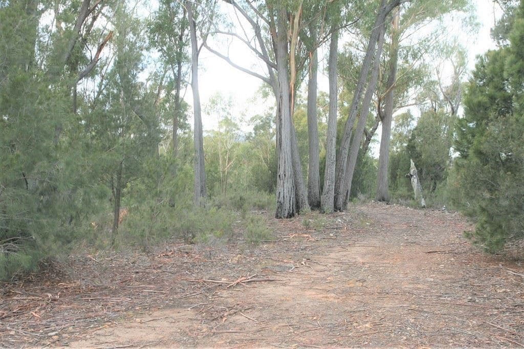 PID 6792803 Trout Road, UPPER SCAMANDER, TAS 7215, Upper Scamander - Thumbnail 4