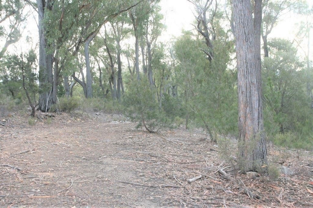 PID 6792803 Trout Road, UPPER SCAMANDER, TAS 7215, Upper Scamander - Thumbnail 5