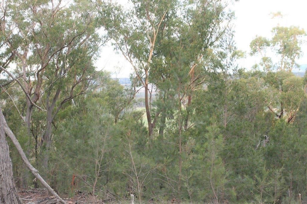 PID 6792803 Trout Road, UPPER SCAMANDER, TAS 7215, Upper Scamander - Thumbnail 6