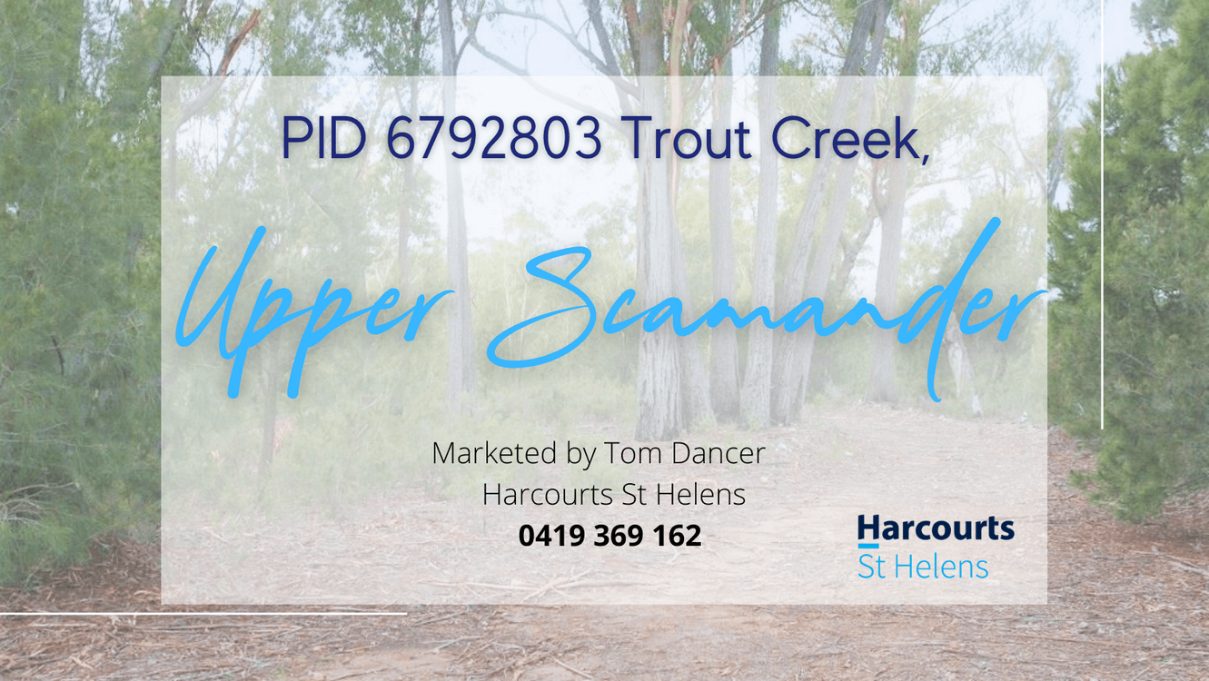 PID 6792803 Trout Road, UPPER SCAMANDER, TAS 7215, Upper Scamander - Thumbnail 8