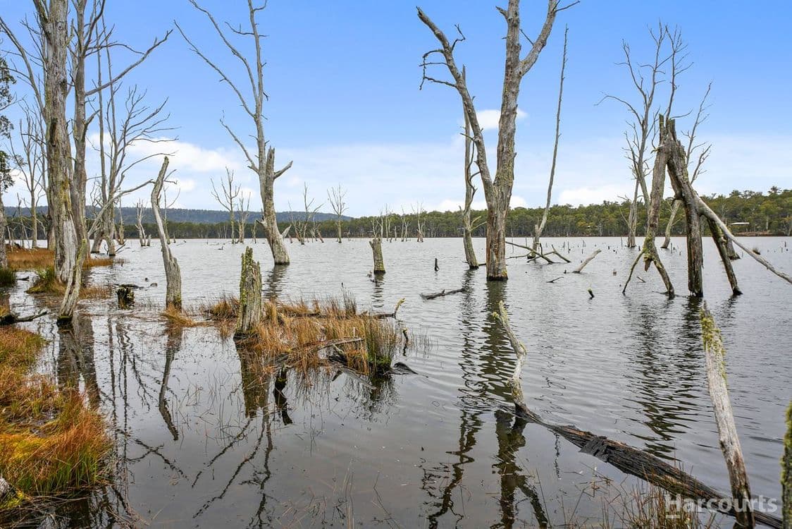 Lots 28-40 Pauciflora Drive, LONDON LAKES, TAS 7140, London Lakes - Thumbnail 6