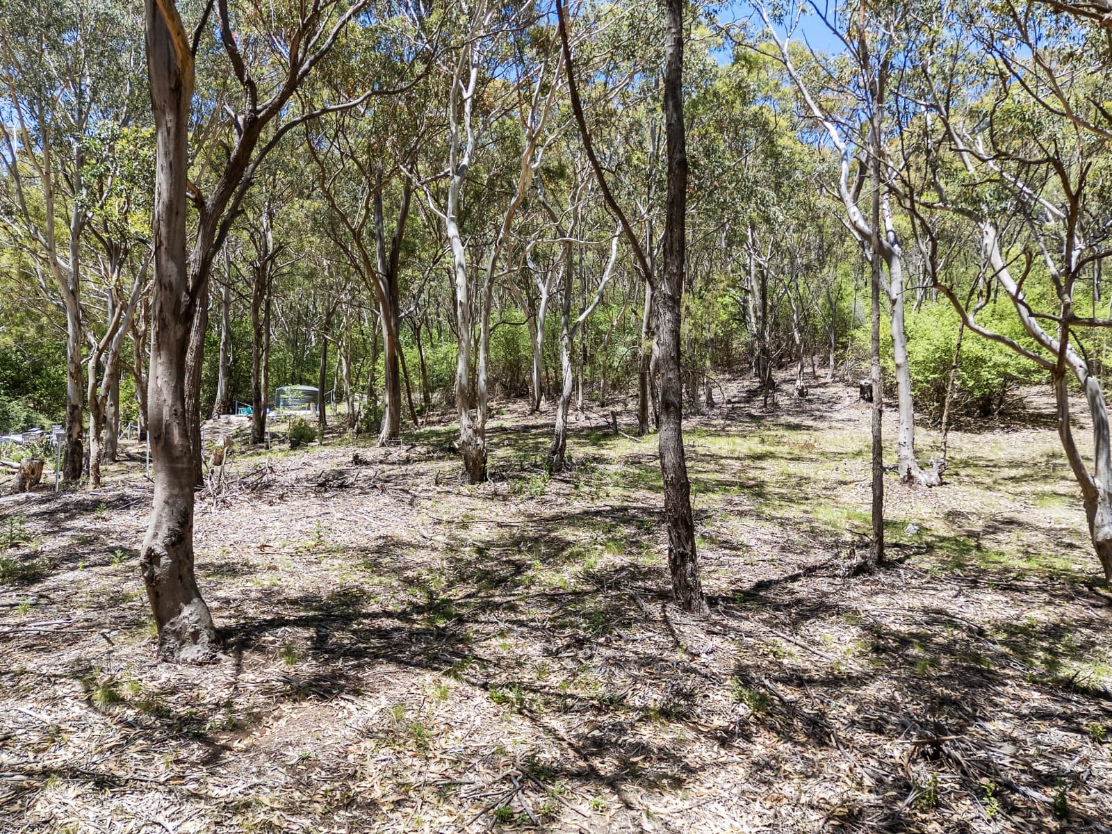 34 Mountain Street,Charbon, Charbon - Image 1
