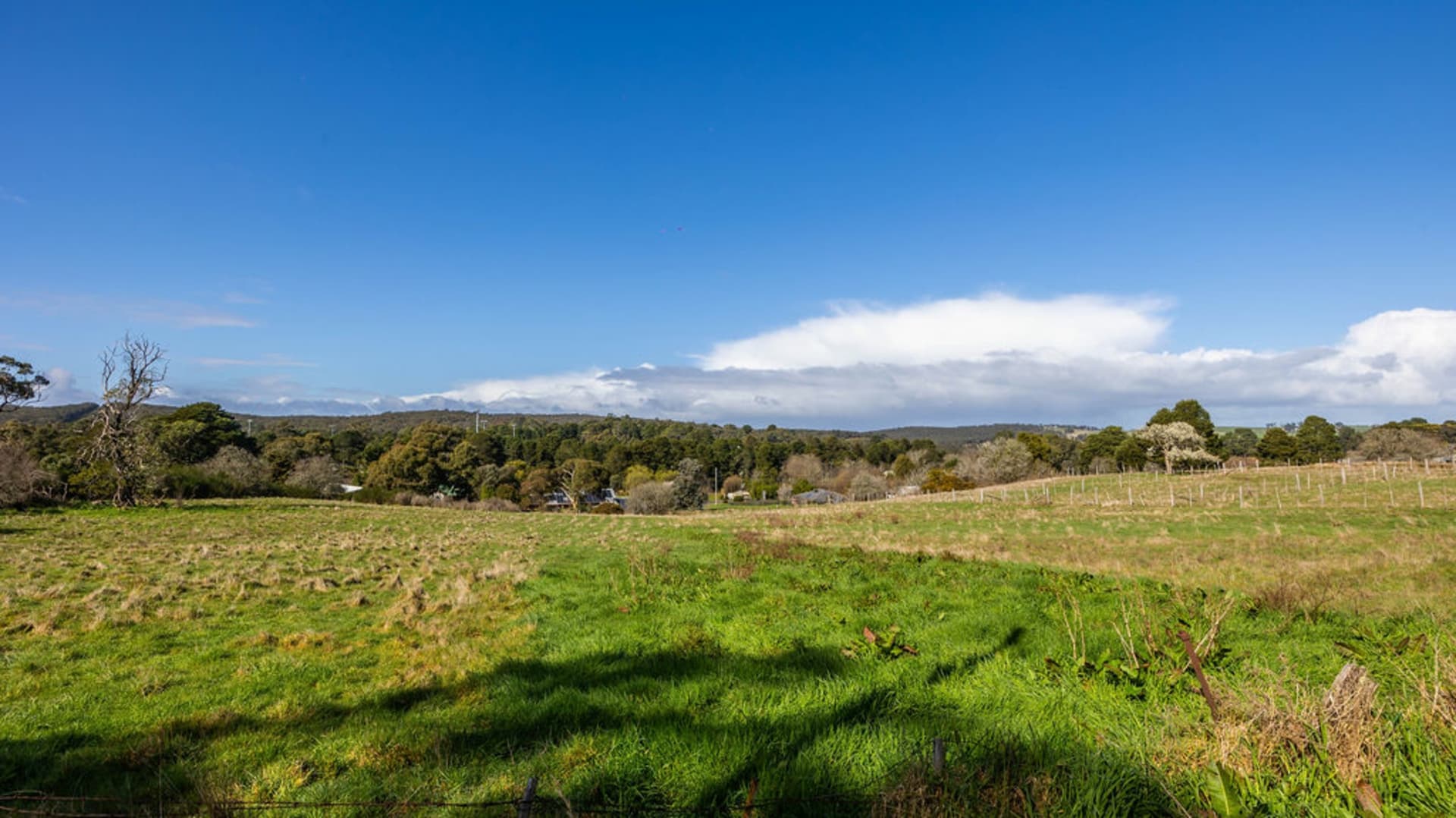 Lot 6/17 Adair Street, Linton - Thumbnail 4