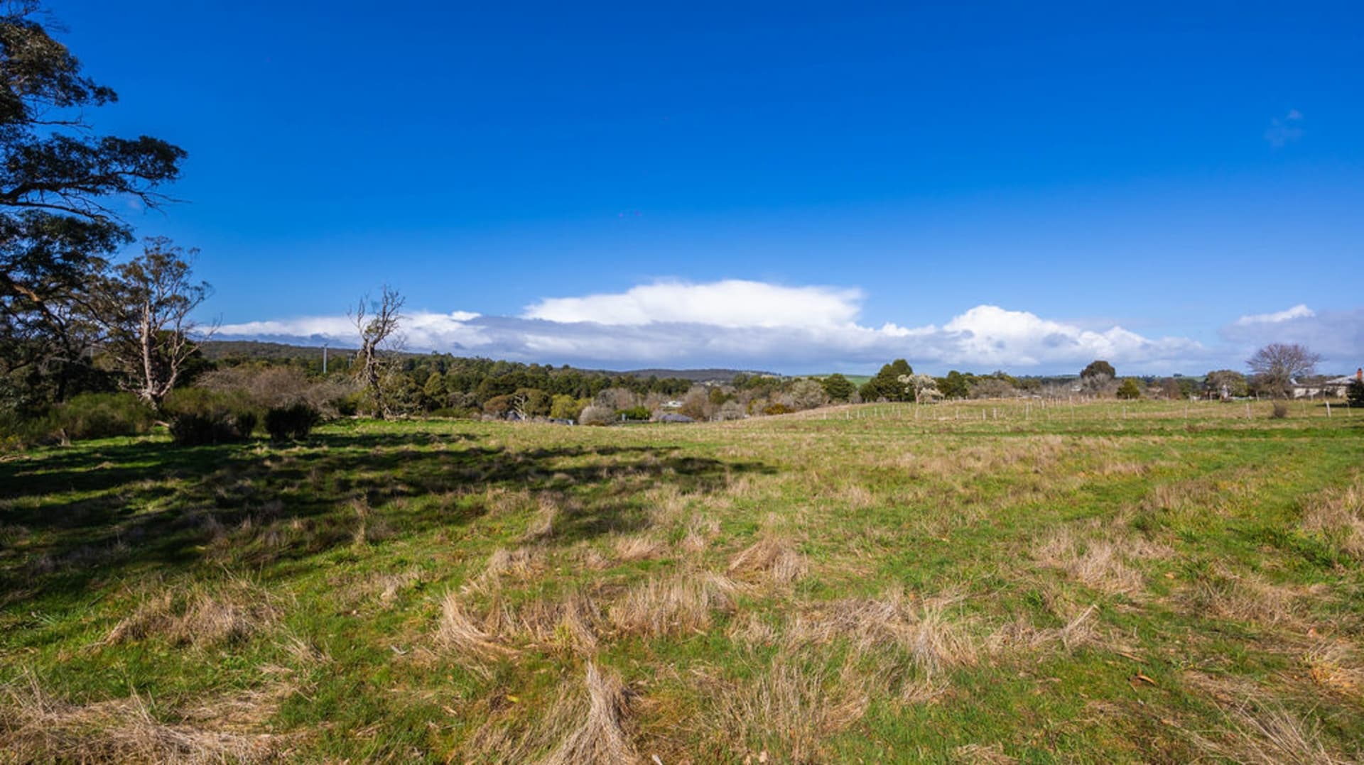 Lot 7/17 Adair Street, Linton - Thumbnail 5