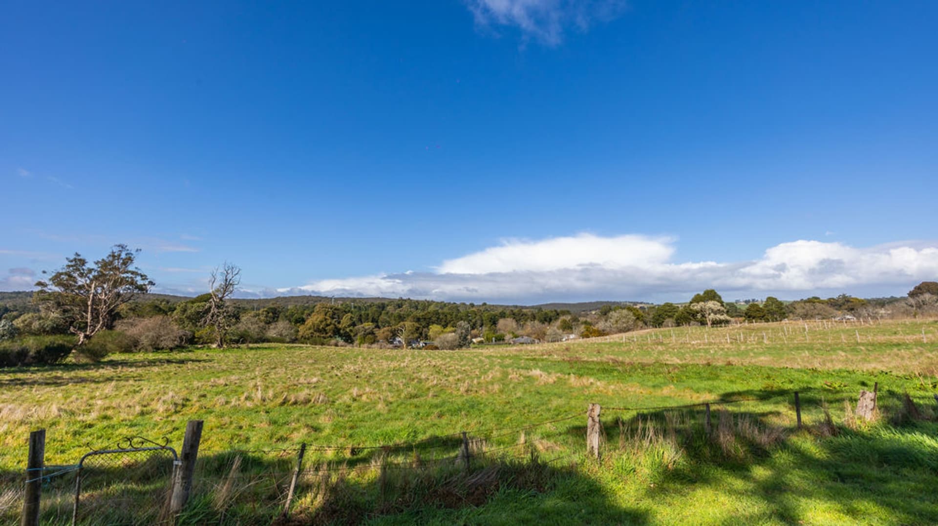 Lot 8/17 Adair Street, Linton - Thumbnail 4