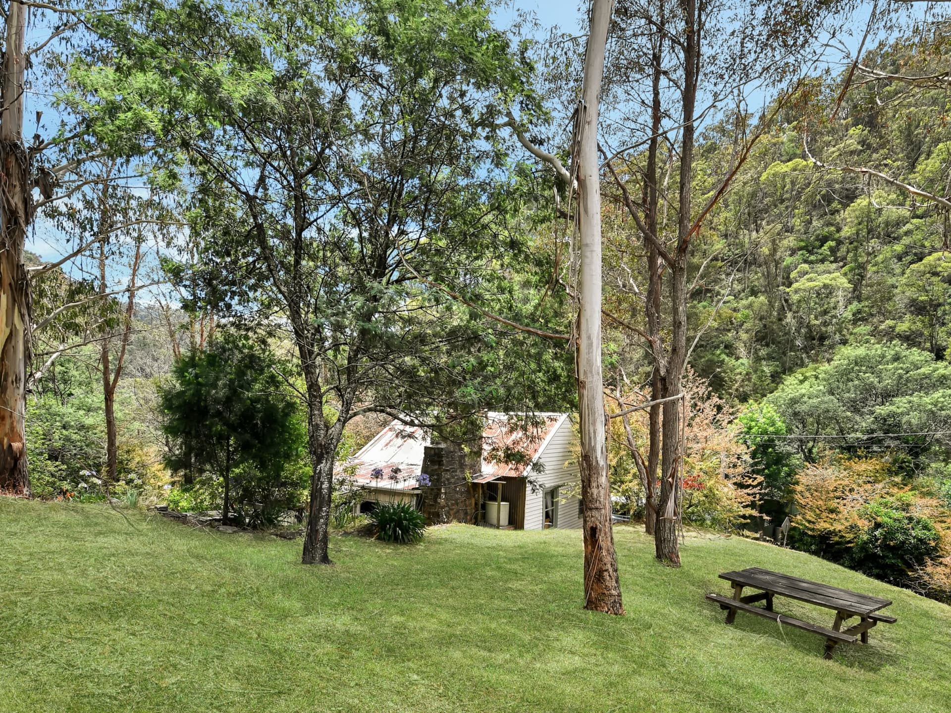7434 Mansfield-Woods Point Road,Gaffneys Creek, Gaffneys Creek - Thumbnail 5