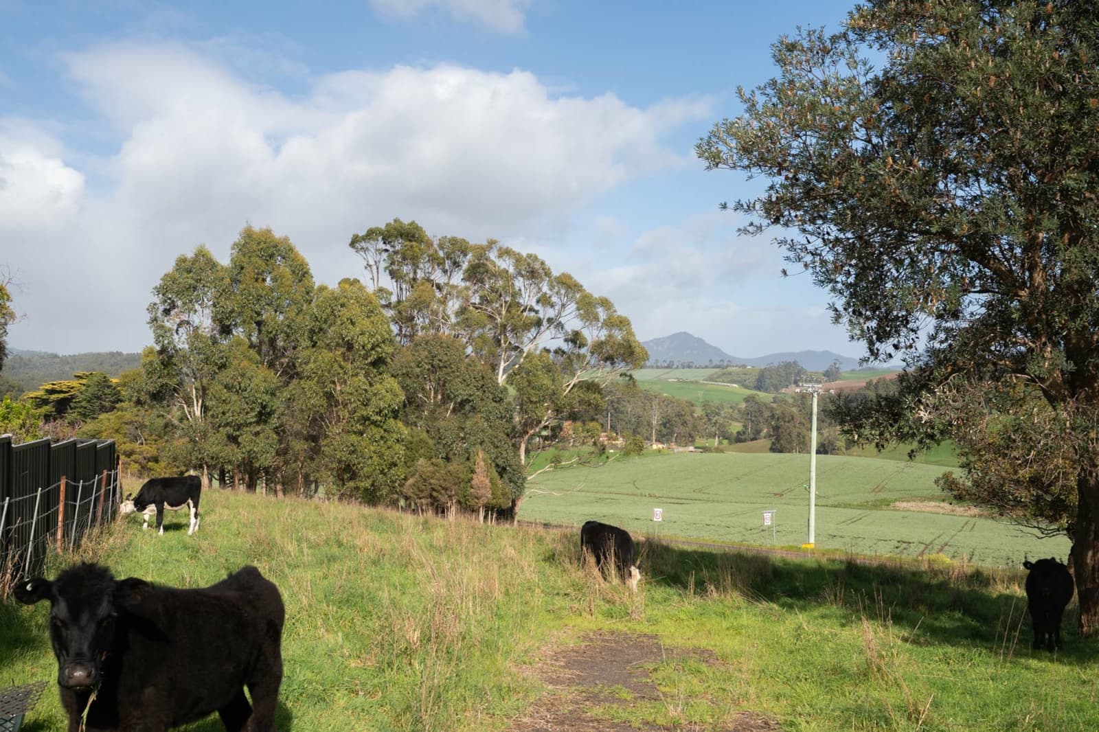 10 Top Gawler Road,Gawler, Gawler - Thumbnail 8