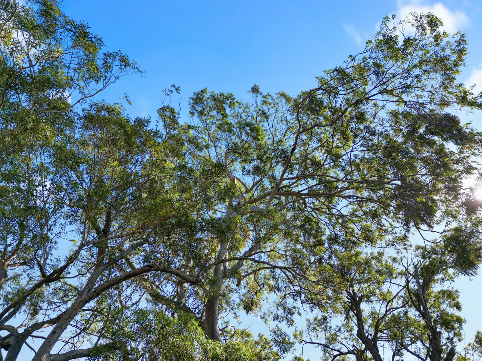 18 Starfish Street,Agnes Water, Agnes Water - Thumbnail 8